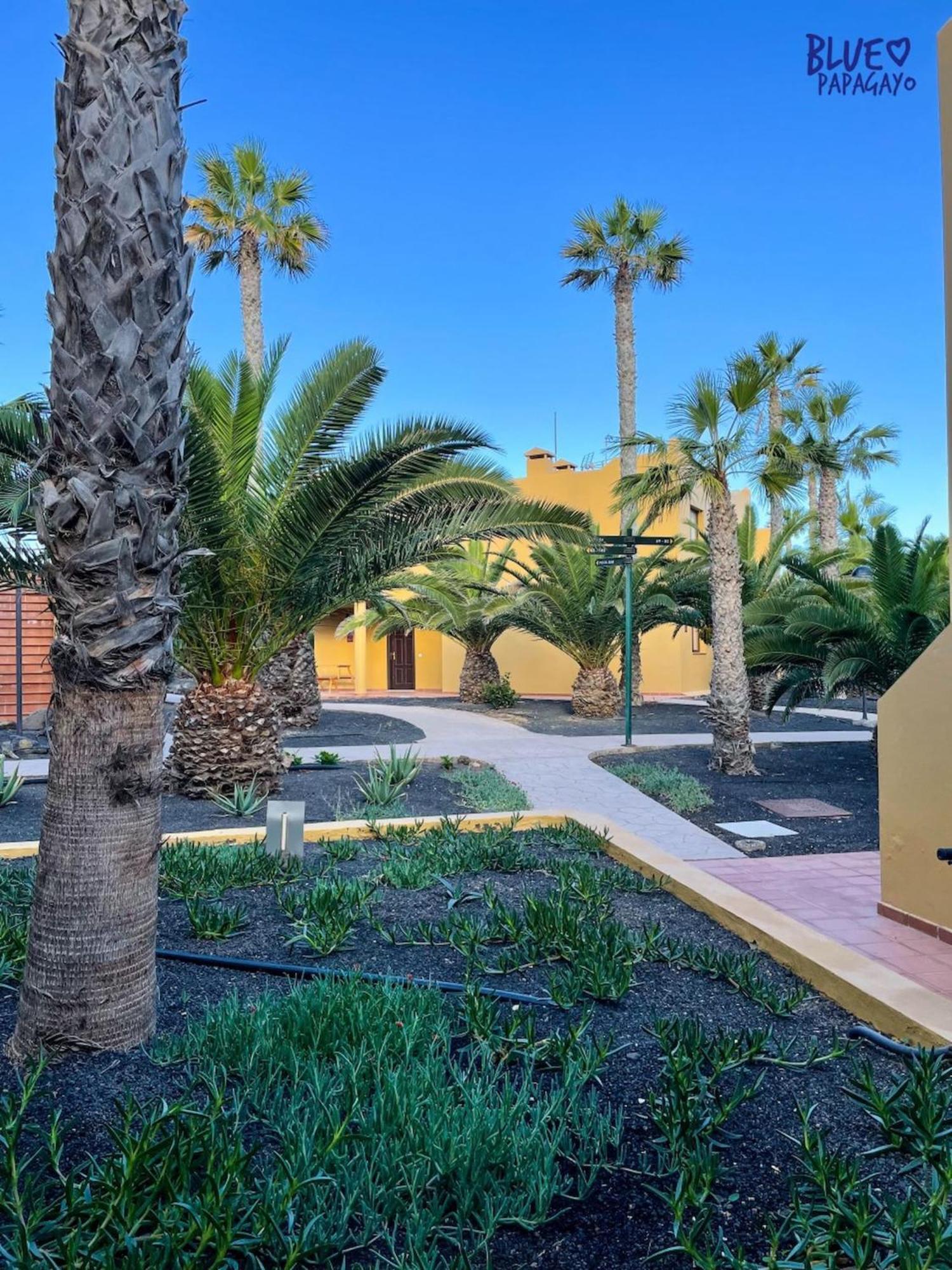 Appartement Two Bedrooms Oasi Blue Papagayo By Rentalfue Corralejo