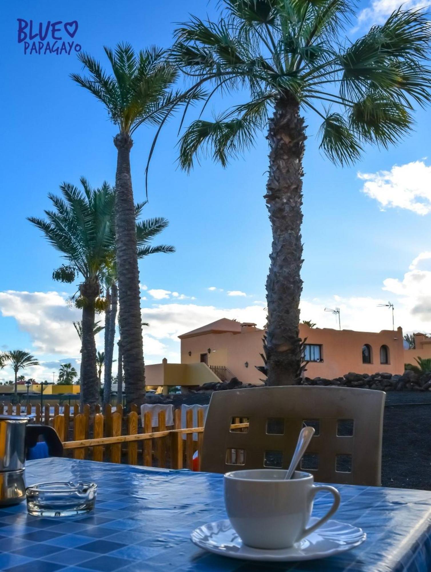 Appartement Two Bedrooms Oasi Blue Papagayo By Rentalfue *